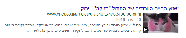 תצוגה עשירה של סרטונים בגוגל