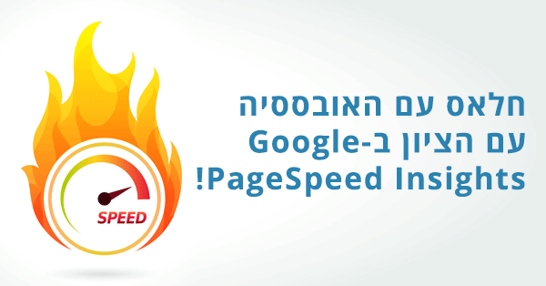 ציון המהירות בגוגל