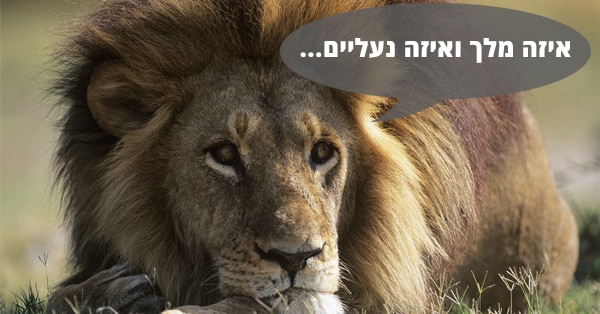 איזה מלך ואיזה נעליים