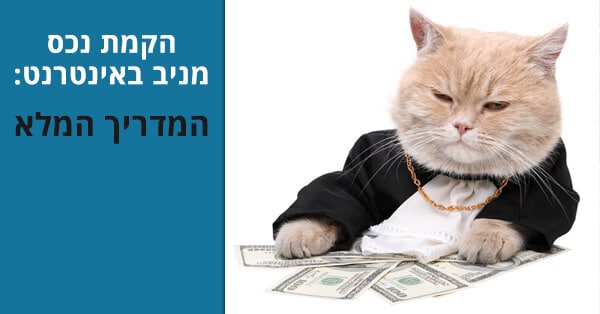 הקמת נכס אינטרנטי מניב