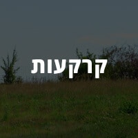 השקעה בקרקעות