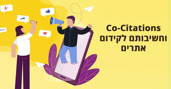 Co Citations