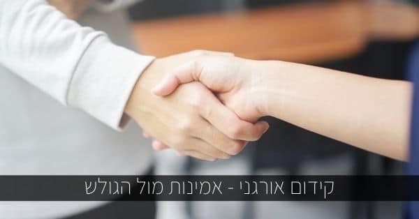 אמינות מול הגולש