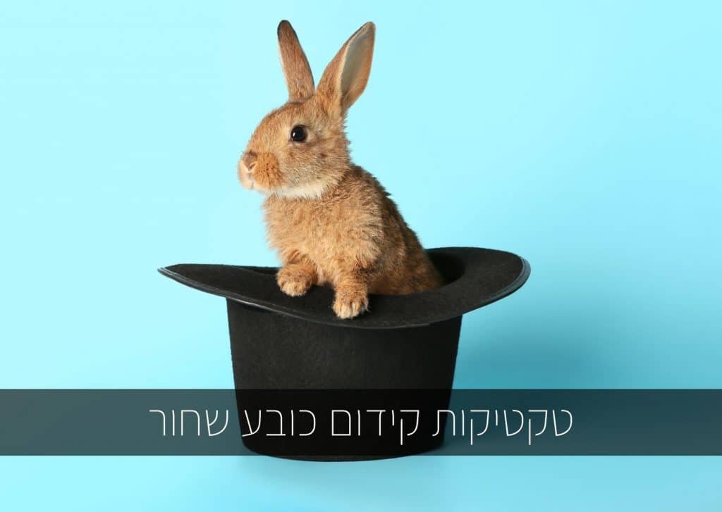 טקטיקות קידום כובע שחור