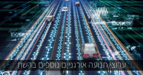 ערוצי תנועה אורגניים נוספים ברשת