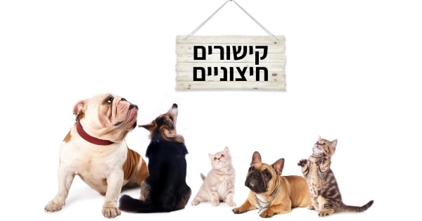 קישורים חיצוניים לאתרים רלוונטיים