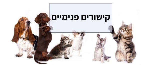 קישורים פנימיים לעמודים רלוונטיים