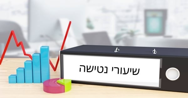 שיעורי נטישה