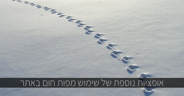 אופציות נוספת של שימוש מפות חום באתר