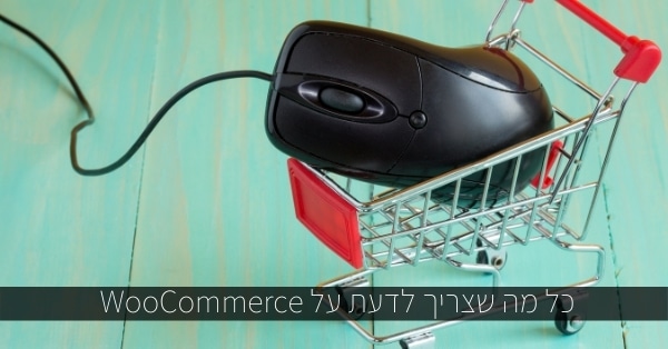 הכל על WooCommerce