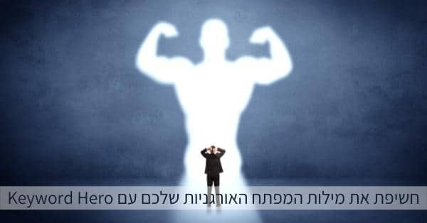 מילות המפתח אורגניות Keyword Hero