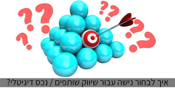 לבחור נישה עבור שיווק שותפים / נכס דיגיטלי