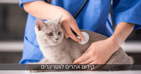 קידום אתרים לווטרינרים