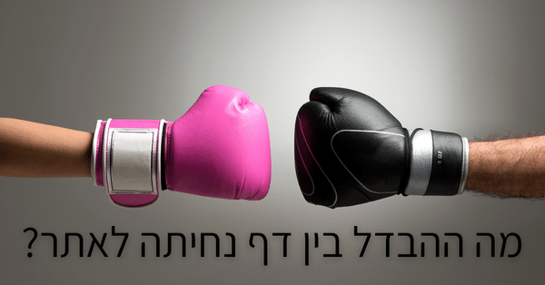 ההבדל בין דף נחיתה לאתר